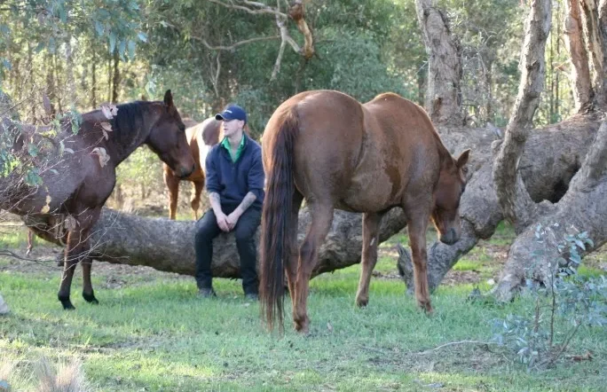 Man sitting with horses in paddock